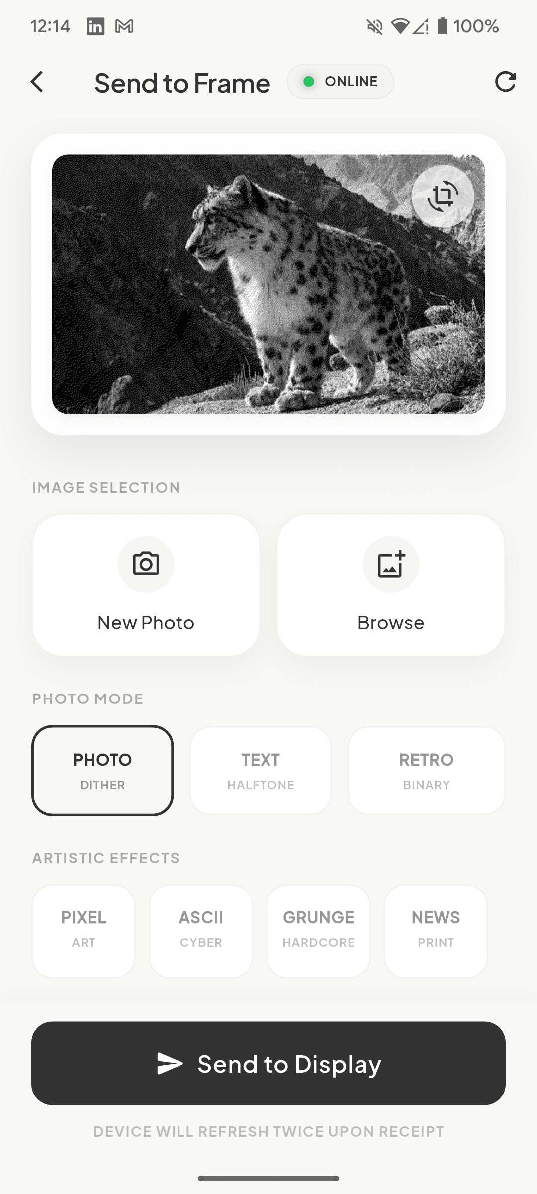 Photo Dither